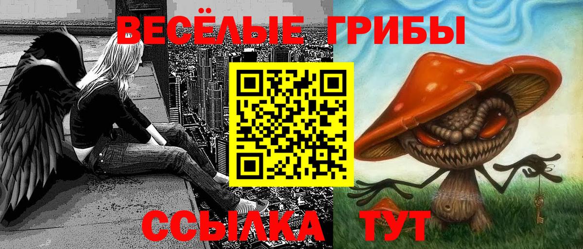 Галлюциногенные грибы MAGIC MUSHROOMS  Вход с VPN  Усть-Джегута 