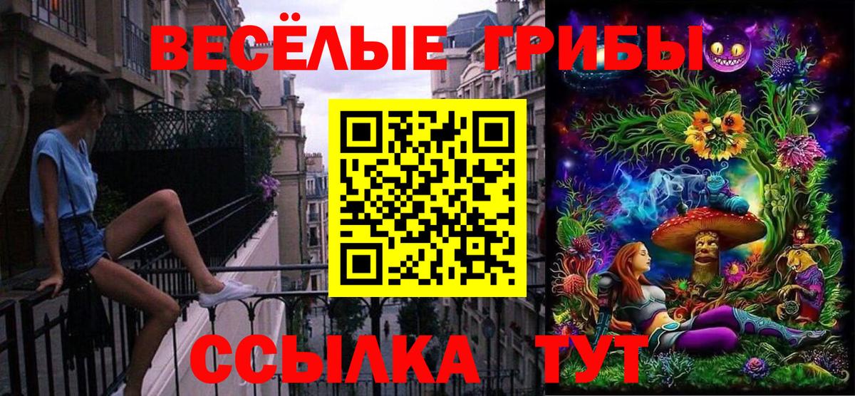 Галлюциногенные грибы Psilocybe Усть-Джегута